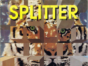 Splitter. Reakcja na poprzedni artykuł